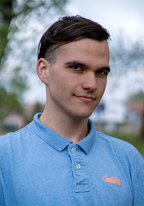 Slika Srđana Gogića